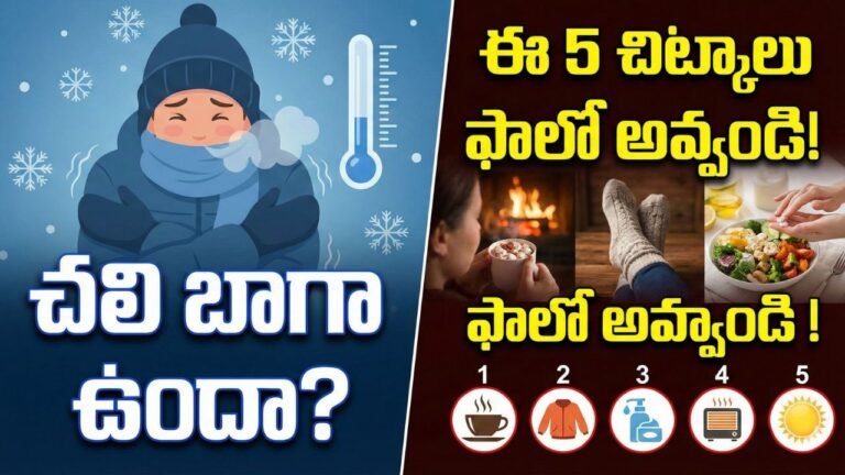 Winter Health Tips in Telugu