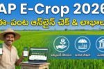 Ap E Crop 2026 Online Status Check Telugu
